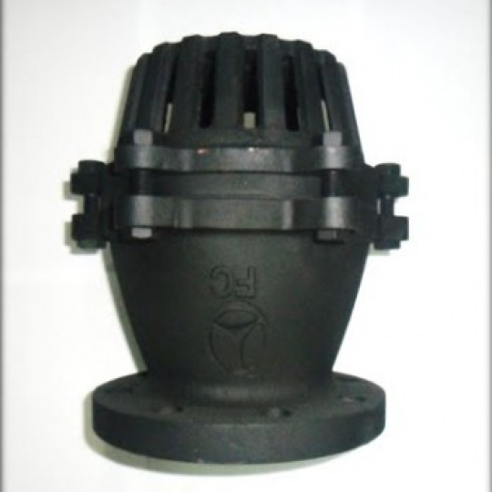 RỌ BƠM GANG NỐI BÍCH